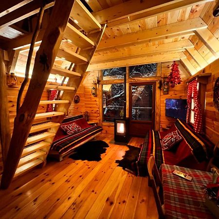 Tree House - Tara Place Mojkovac Εξωτερικό φωτογραφία
