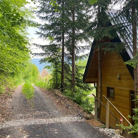Tree House - Tara Place Mojkovac Εξωτερικό φωτογραφία