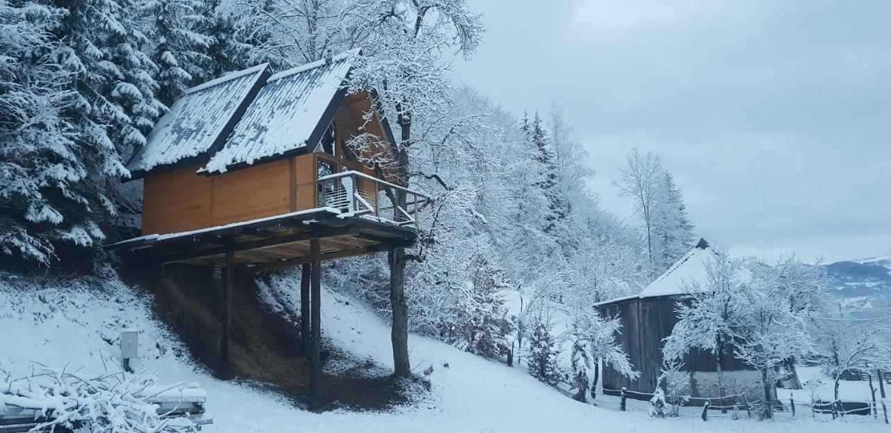 Tree House - Tara Place Mojkovac Εξωτερικό φωτογραφία