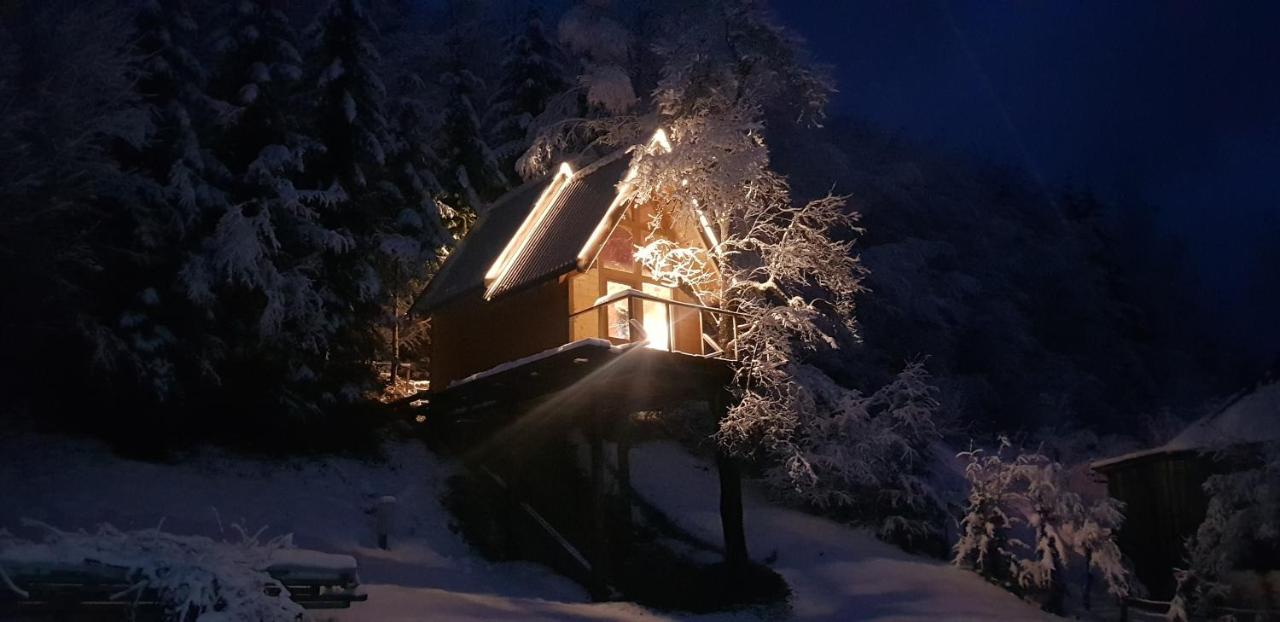 Tree House - Tara Place Mojkovac Εξωτερικό φωτογραφία