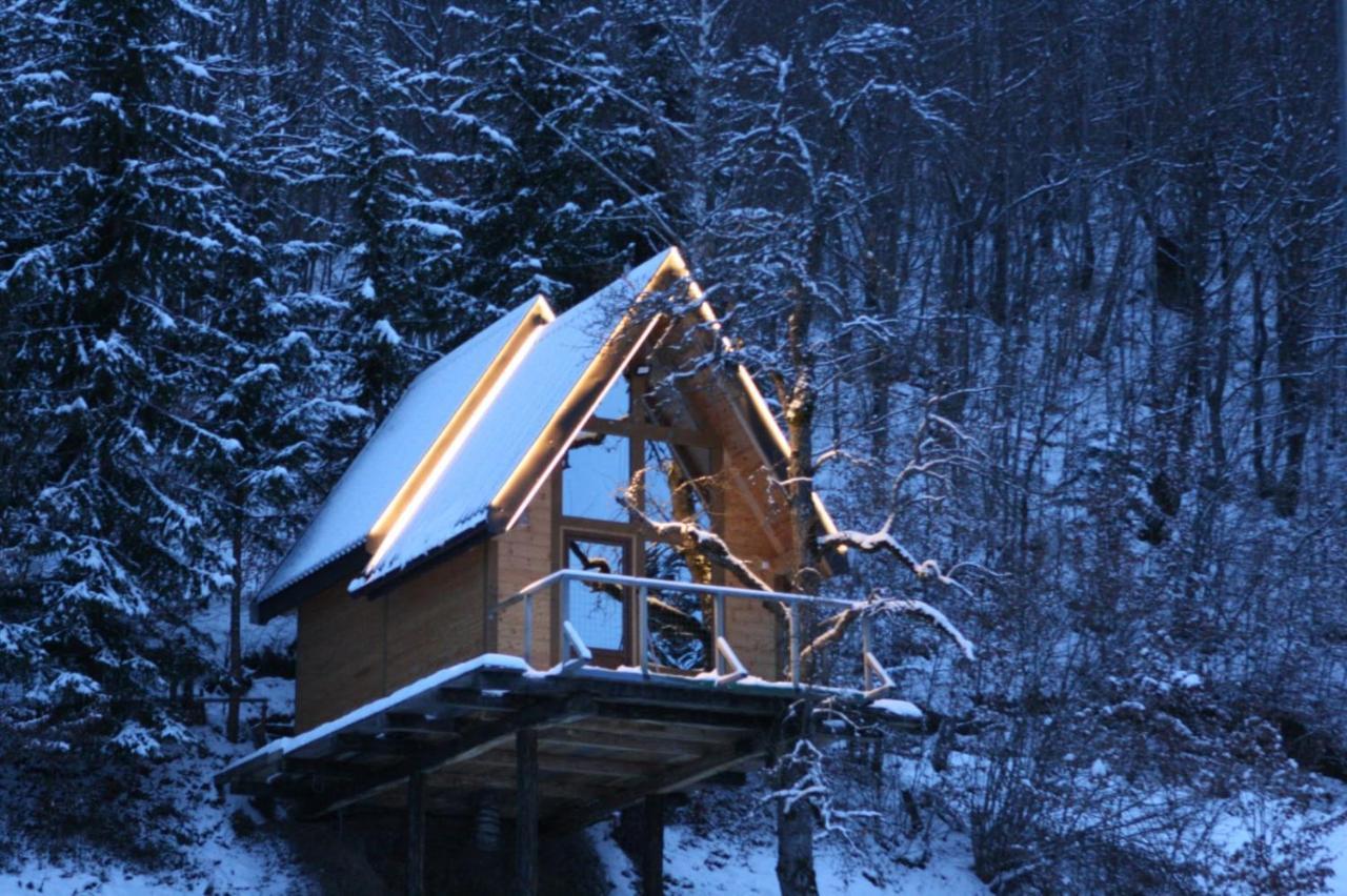Tree House - Tara Place Mojkovac Εξωτερικό φωτογραφία