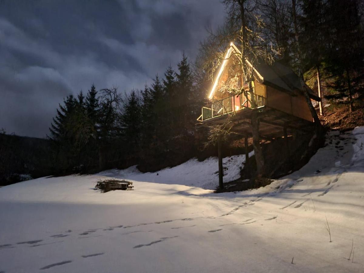 Tree House - Tara Place Mojkovac Εξωτερικό φωτογραφία