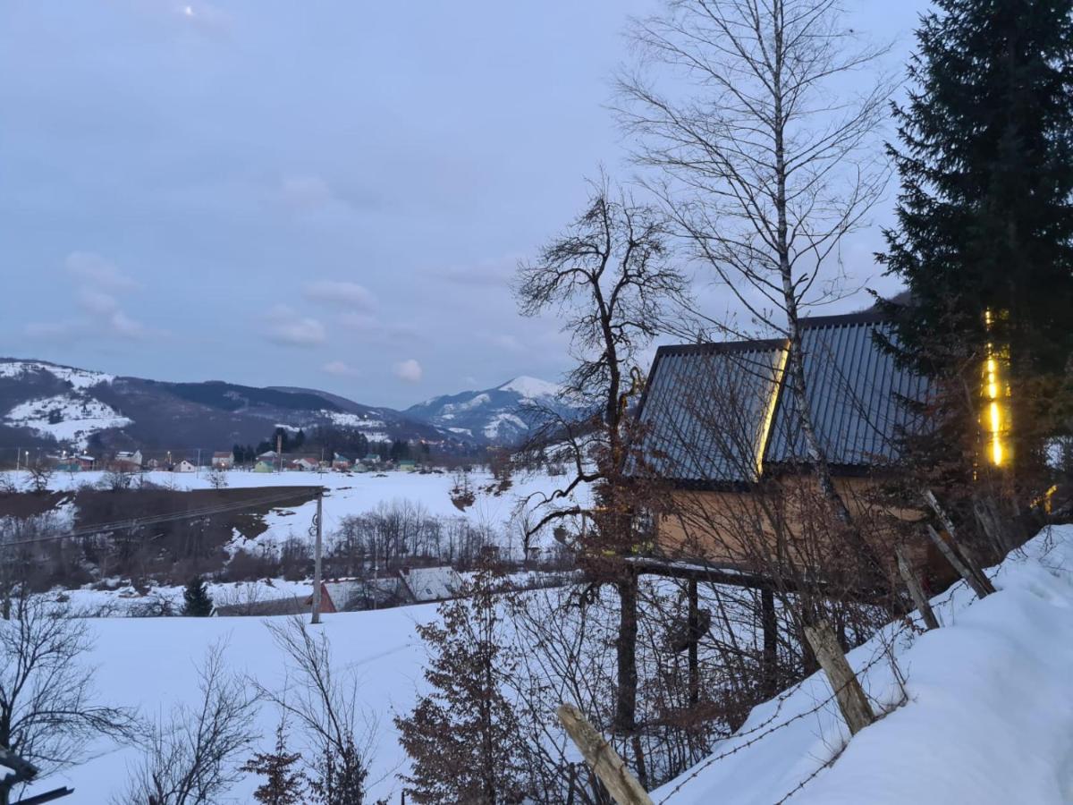 Tree House - Tara Place Mojkovac Εξωτερικό φωτογραφία