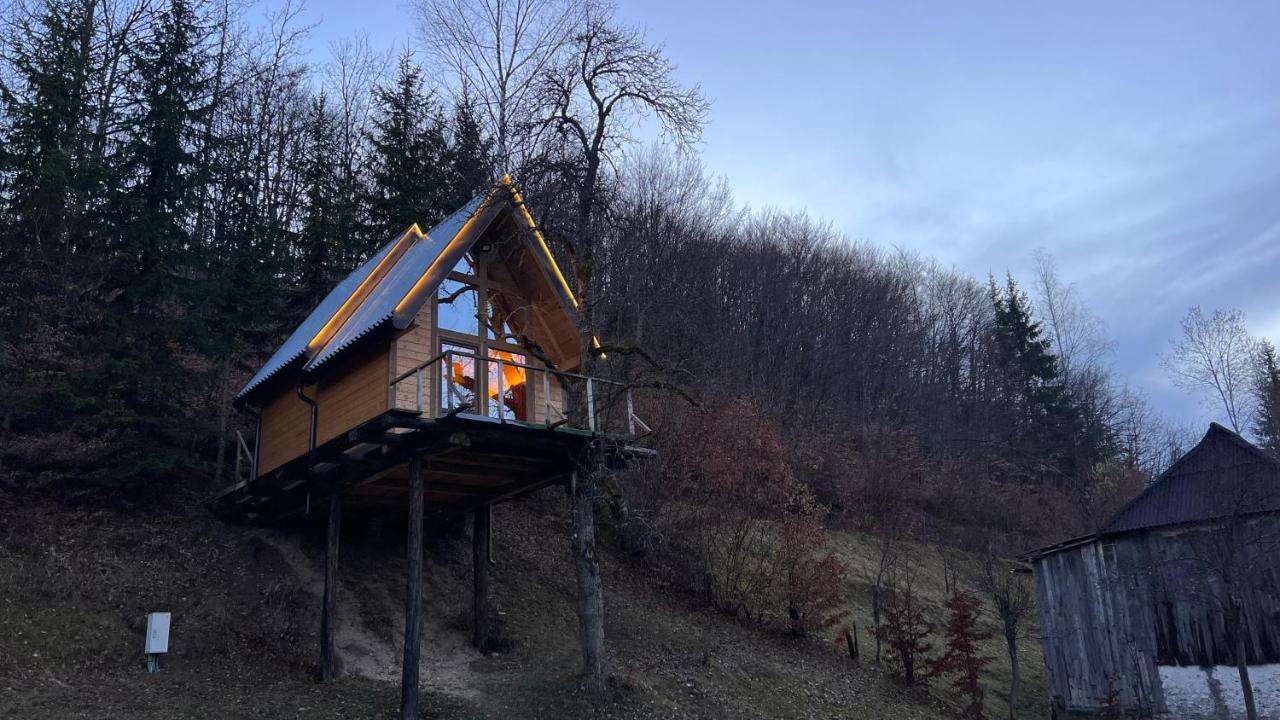 Tree House - Tara Place Mojkovac Εξωτερικό φωτογραφία