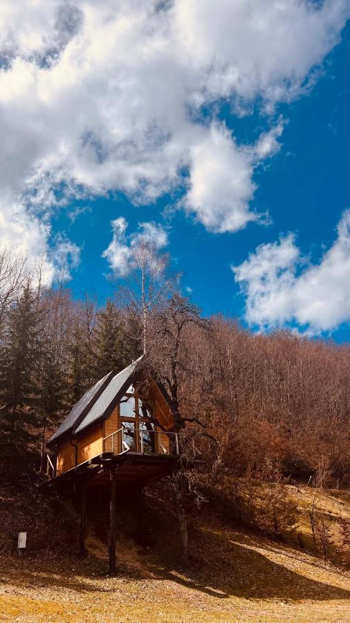 Tree House - Tara Place Mojkovac Εξωτερικό φωτογραφία