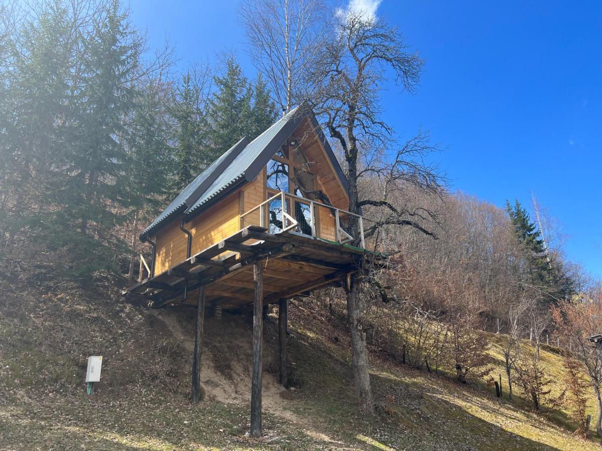 Tree House - Tara Place Mojkovac Εξωτερικό φωτογραφία