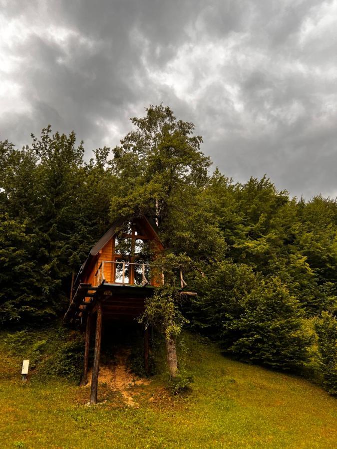 Tree House - Tara Place Mojkovac Εξωτερικό φωτογραφία