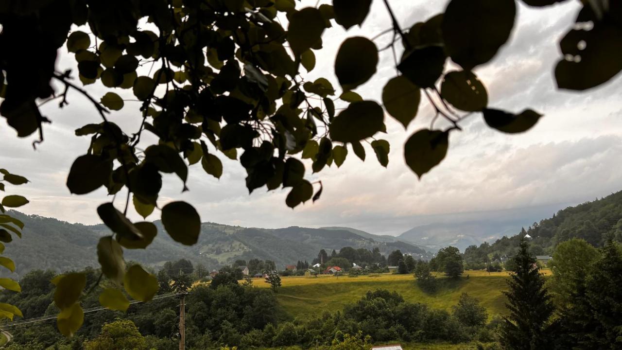 Tree House - Tara Place Mojkovac Εξωτερικό φωτογραφία