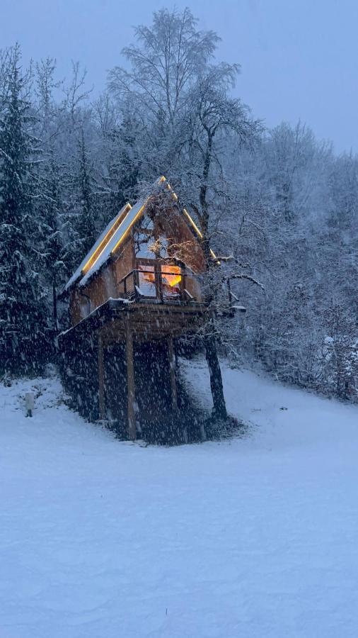 Tree House - Tara Place Mojkovac Εξωτερικό φωτογραφία