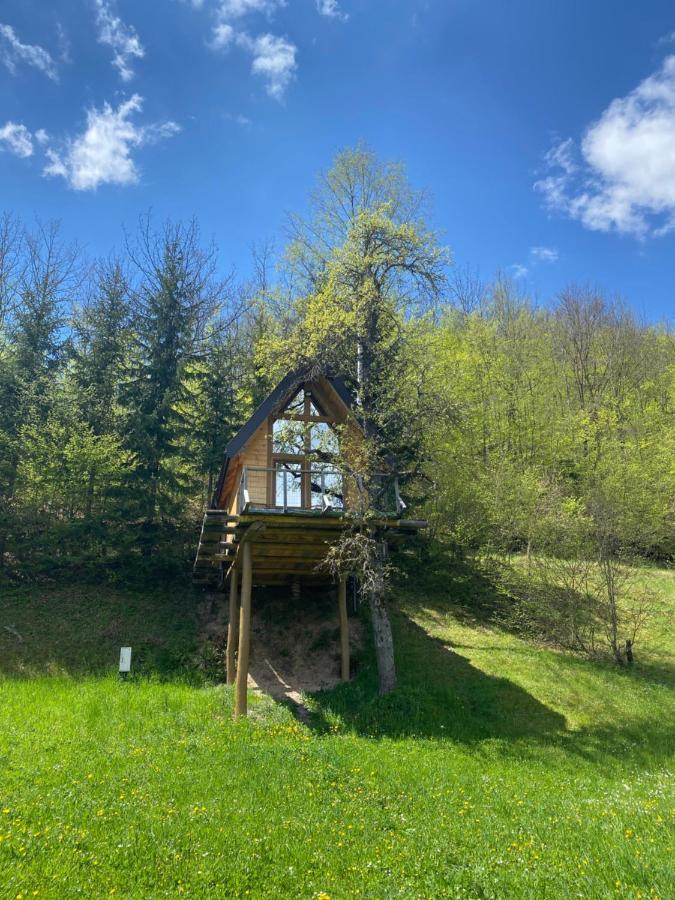 Tree House - Tara Place Mojkovac Εξωτερικό φωτογραφία