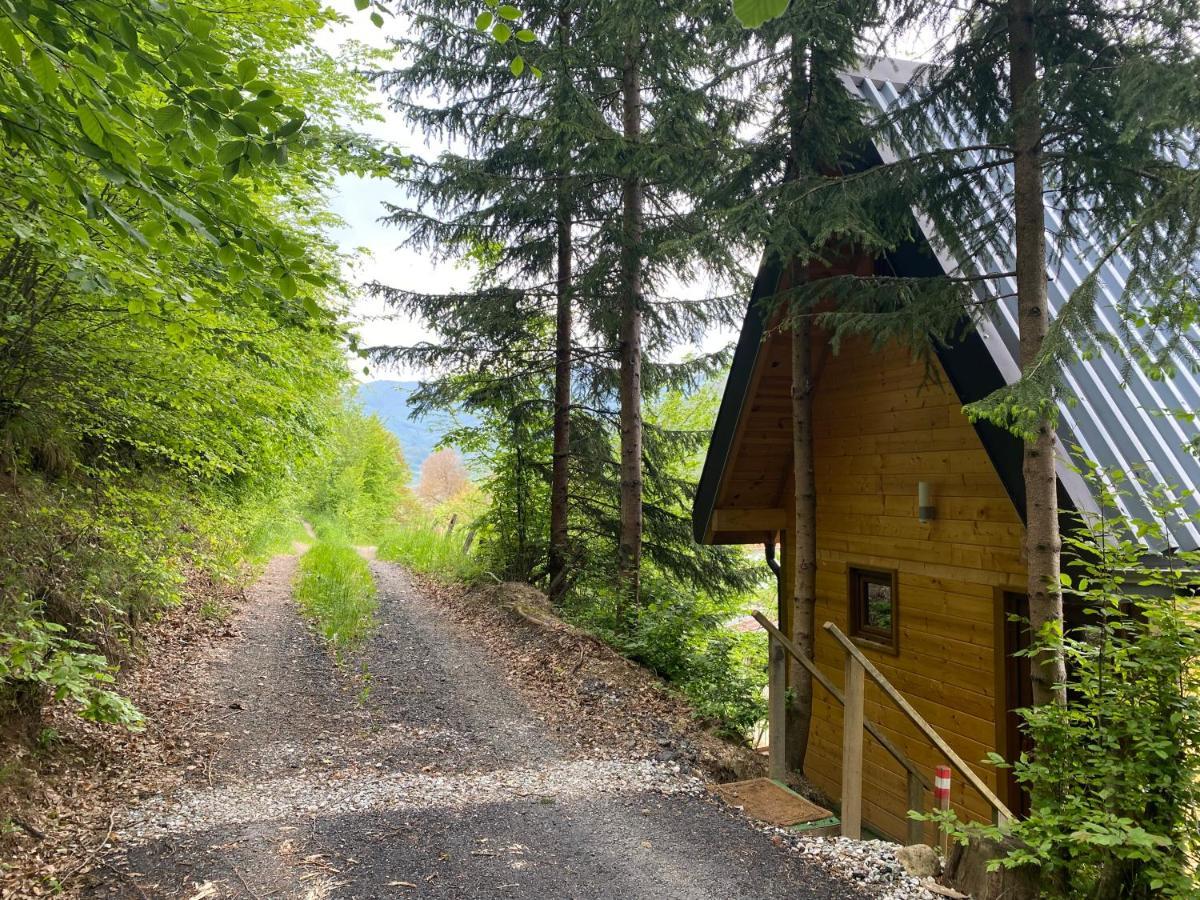 Tree House - Tara Place Mojkovac Εξωτερικό φωτογραφία